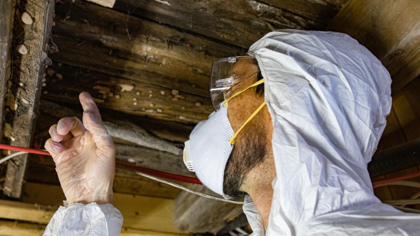 Technician performing mold inspection in Chattanooga crawl space